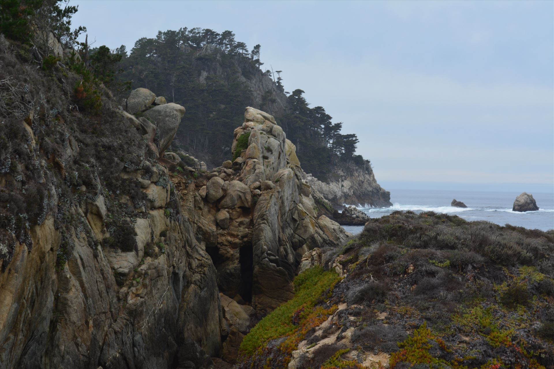 Point Lobos -  by Bridget Oates Photography