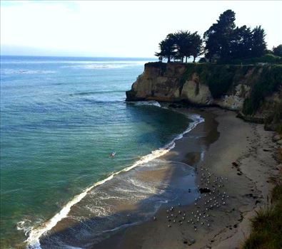 Santa Cruz Opal Cliffs - 